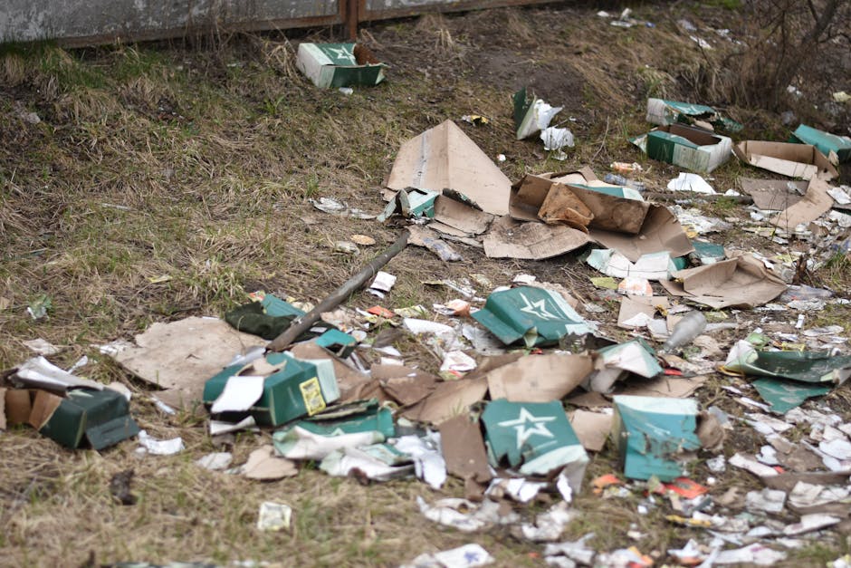 A section of a garden or outdoor area with a grassy patch and a concrete or stone boundary wall in the background. The ground is strewn with discarded litter, including crumpled cardboard boxes, some